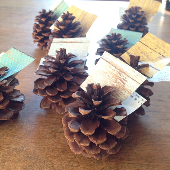 Items similar to Pine cone place card/label holders on Etsy