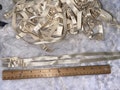 6 pair cream beige off white ivory  sew in spaghetti lingerie BRA strap straps Shiny Elastic 1\/2