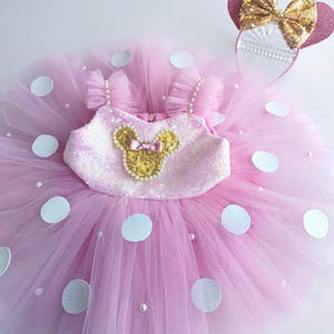 Minnie Mouse Costume,Minnie Dress,Pink Birthday Costume,Toddler Birthday Photoshoot Dress,Birthday Photoshoot Dress