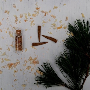 Pine Räucherkegel - Ganz natürlich, Vegan, Kräuter, Bio, Pinon Pine Räucherkegel - Beutel mit 3, 6 oder 12 Räucherkegeln - Pinyon, Smudging