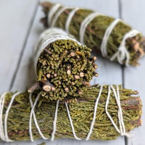 May include: Two bundles of dried green cedar foliage tightly wrapped with white cotton string. The bundles are cylindrical in shape, featuring dense, textured evergreen needles and small woody stems visible at the ends of the bundles.