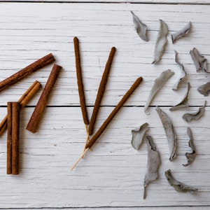 3 Cinnamon Sage Incense Sticks - Traditional, Small-Batch, Artisan-Rolled, Organic Herbal Scent