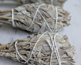 Sage Smudge - 3 Torch Style Smudging Sticks