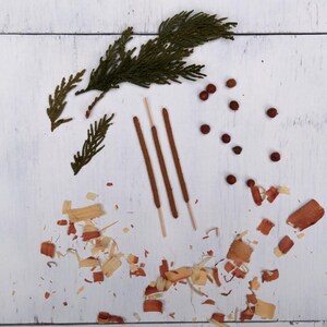3 Cedar Incense Sticks arranged in a row, accompanied by several green cedar sprigs, small cedar berries, and scattered cedar wood shavings on a white wooden surface.