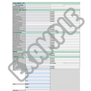 Pode incluir: Um formulário de avaliação preto e branco com o título "Tipo de avaliação" e categorias que incluem "Atividade e segurança", "Psicosocial", "Neuro" e "Cardíaco".