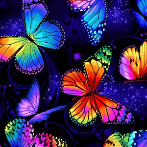 Large Butterfly Magic - - Timeless Treasures - Remnants