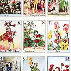 Flower Fairies Alphabet Panel Digital - Michael Miller - 1 Panel (22.5&quot;) - More Available