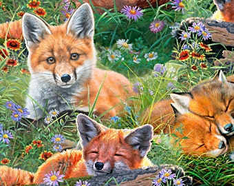 Mountain Sunrise Red Fox - 3 Wishes Fabric - Abraham Hunter - Fat Quarter