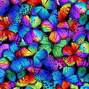 Butterfly Magic Packed - Timeless Treasures - Short Yard (30&quot;)