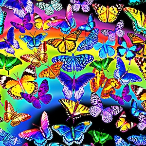 Bright Rainbow Butterflies Flight - Timeless Treasures - 1 Yard - Last Available