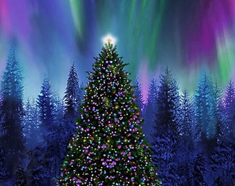 New - Aurora Borealis Christmas Tree - Timeless Treasures - 1 Panel 24"