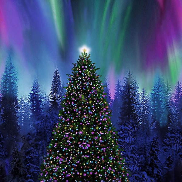 New - Aurora Borealis Christmas Tree - Timeless Treasures - 1 Panel 24"