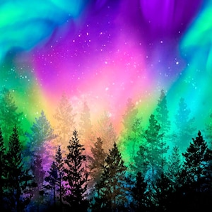 Aurora Northern Lights- Timeless Treasures - 1 Panel (23&quot;) - More Available