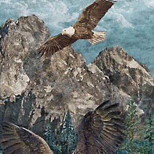 New - Eagle Pass - Linda Ludovico - Northcott - 1 Panel (28&quot;) - More Available