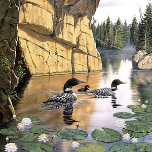 New - Still Waters Naturescapes - Derk Hansen - Northcott - 1 Panel (30&quot;) - More Available