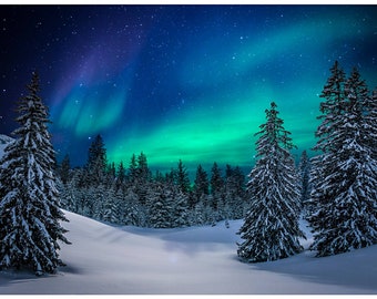 A forest scene in striking colors Electric Nature panel from Timeless Treasures C7764 Absolutely stunning!
