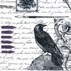 Nevermore Edgar - Michael Miller Fabrics - 1 Yard - More Available