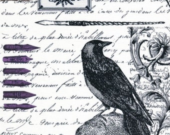 Nevermore Edgar - Michael Miller Fabrics - 1 Yard - More Available