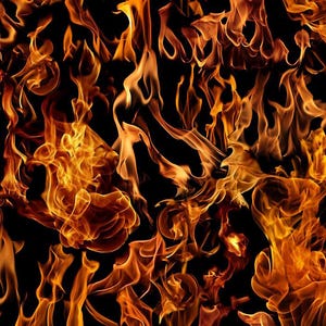 New - Dragon Lair Fire - Timeless Treasures - 1 Yard - More Available