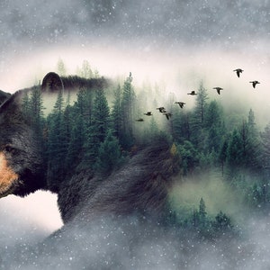 Forest Bear Call of the Wild Digital - Hoffman Fabrics - 1 Panel (27") - More Available