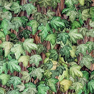 Botanical Ivy - In the Beginning - Jason Yenter - Yardage and More Available