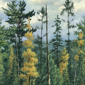Northwood Naturescapes Border Forest - Hautman Brothers Wildlife Art - Northcott - 1 Yard - More Available