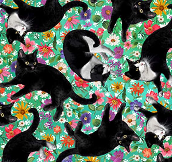 新商品 - かくれんぼ猫投げ - デボラ・エドワーズ - ノースコット - 1