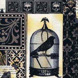 Nevermore - Michael Miller Fabrics - Fat Quarter