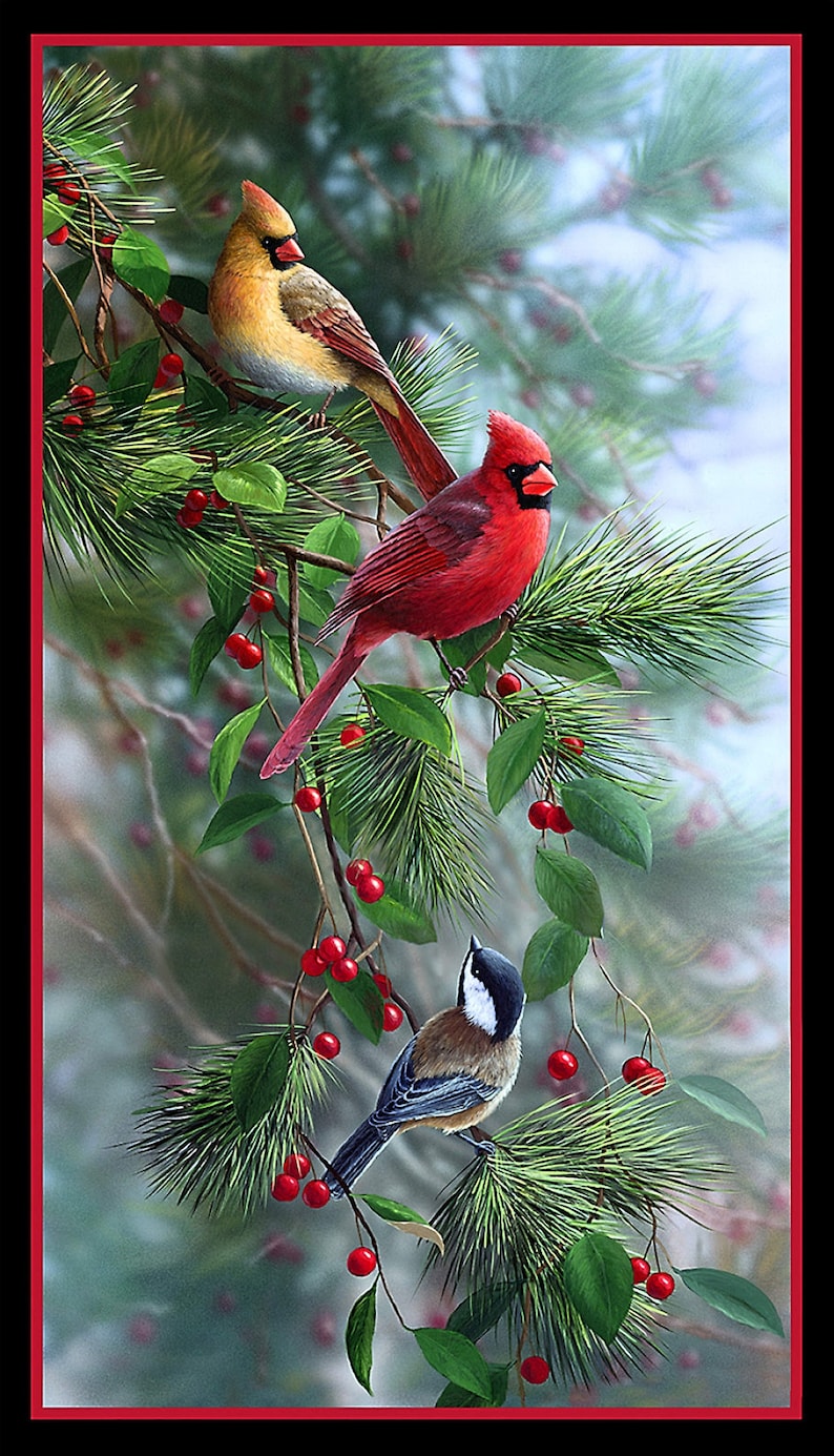 May include: A vertical image featuring three birds perched on a pine branch with red berries. The top bird is tan and yellow, the middle bird is bright red, and the bottom bird is black, white, and brown. The background is a soft, blurred green.