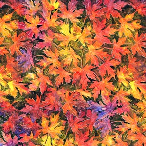 May include: A vibrant watercolour painting featuring a dense pattern of overlapping maple leaves in shades of red, orange, yellow, and deep purple. The leaves are layered against a dark, shadowy background, creating a rich, textured autumn foliage effect.