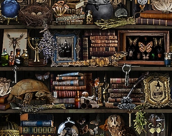 Apothecary Book Shelf - Mystic Haunted Library - Timeless Treasures - Half Yard