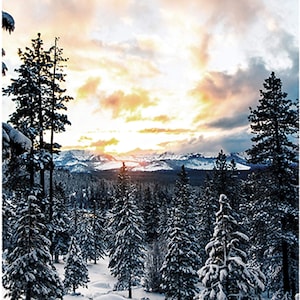 New - Call of the Wild Mountain Dawn Digital - Hoffman Fabrics - 1 Panel (28.5”) - More Available