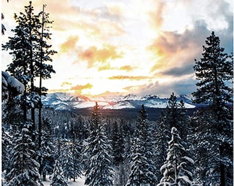 New - Call of the Wild Mountain Dawn Digital - Hoffman Fabrics - 1 Panel (28.5”) - More Available