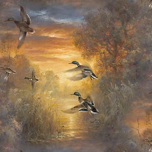Weißwedelgänse - 3 Wünsche - Abraham Hunter - Meterware und mehr erhältlich