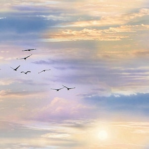 Sunrise Sunset Sky Landscape - Elizabeth Studios - 1 Yard - More Available