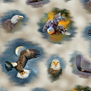 New - Eagle Dreams - QT Fabrics - Yardage and More Available