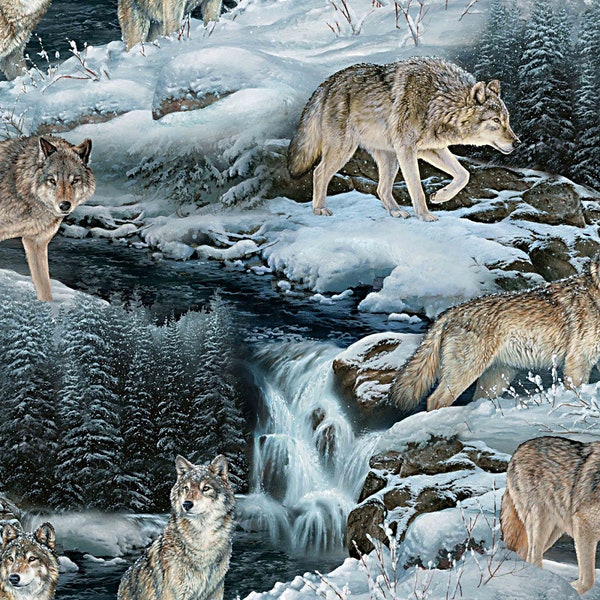 Wild Wings - Wolves Contemplation Scenic- Springs Creative - 1 Yard - More Available - By the Yard