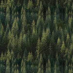 New - Green Off the Grid  - Hoffman Fabrics - 1 Yard - More Available