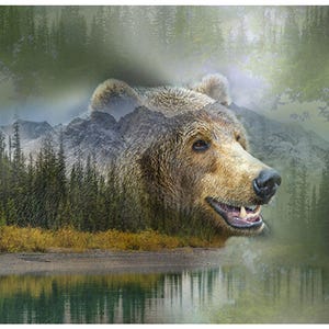 New - River Rock Bear Call of the Wild Digital - Hoffman Fabrics - 1 Panel (30”) - More Available