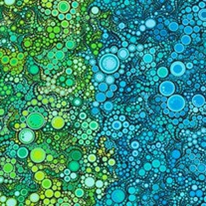 Effervescence Rainbow Gradation on Black - Robert Kaufman - Half Yard