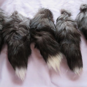 May include: Five silver fox tails with white tips. The tails are arranged in a row on a light purple surface.
