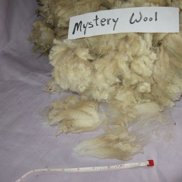 white easy spinning Mystery wool raw clean