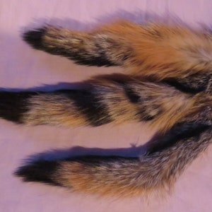 Gray Fox tails XL