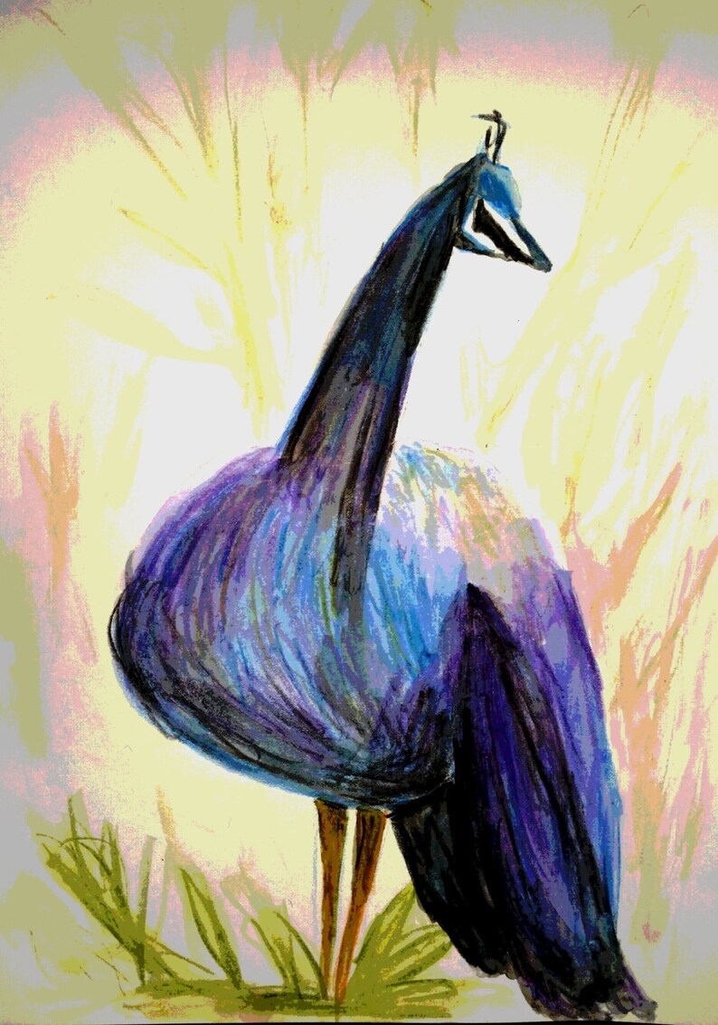 Notecards Decor Peacock Print Stationary Postcards