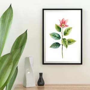 Peut inclure: Une impression d'art encadrée représentant une illustration botanique d'une fleur rose unique avec un centre jaune et plusieurs feuilles vertes sur une tige fine. L'œuvre est insérée dans un cadre rectangulaire noir avec un passe-partout blanc.