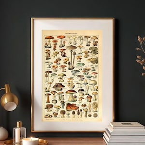 Vintage Mushroom Art Print, Textured Watercolor Matte Poster, Adolphe Millot Mushroom Poster, Mushroom Wall Art, Mycologist Gift, Fungi Art