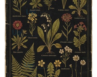 Vintage Botanical Print, Dark Academia Wall Art (Digital Download)
