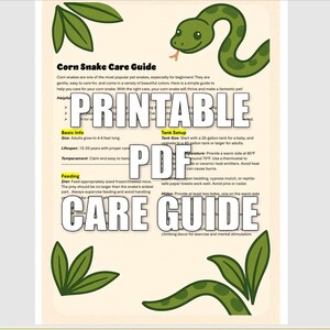 Curated visual reference: Visual Reference: Expertly Crafted Corn Snake Care Guide Tracker