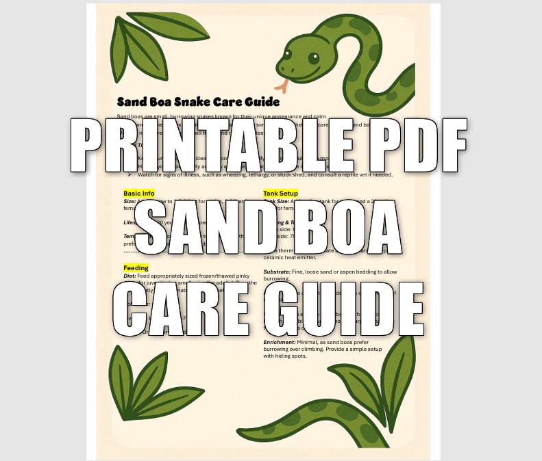 Image showcasing Expertly Crafted Sand Boa Snake Care Guide & Tracker - Master Reptile ...