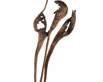 Natural Natraj Branches for Reptile Terrariums, Pack of 3